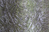 Trimdon Grange fibreglass roof work