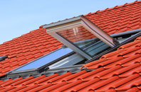 Trimdon Grange roof window